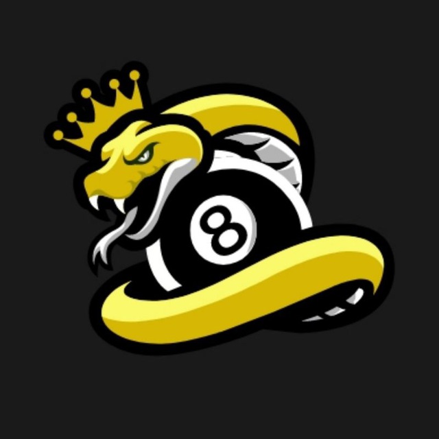 Aim Snake Logo